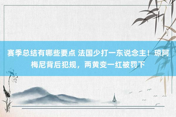 赛季总结有哪些要点 法国少打一东说念主！琼阿梅尼背后犯规，两黄变一红被罚下