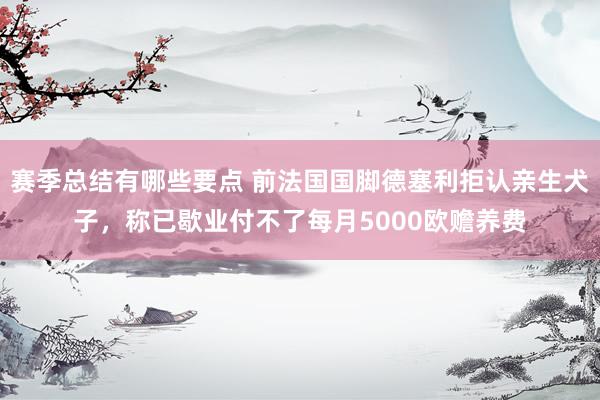 赛季总结有哪些要点 前法国国脚德塞利拒认亲生犬子，称已歇业付不了每月5000欧赡养费