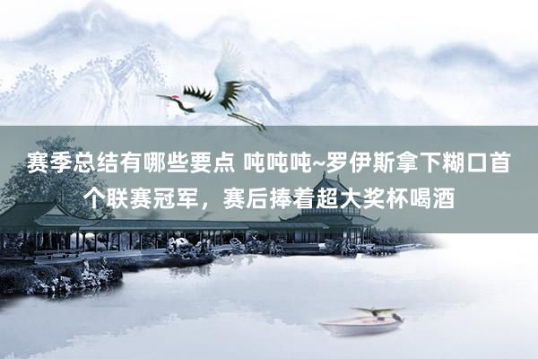 赛季总结有哪些要点 吨吨吨~罗伊斯拿下糊口首个联赛冠军，赛后捧着超大奖杯喝酒