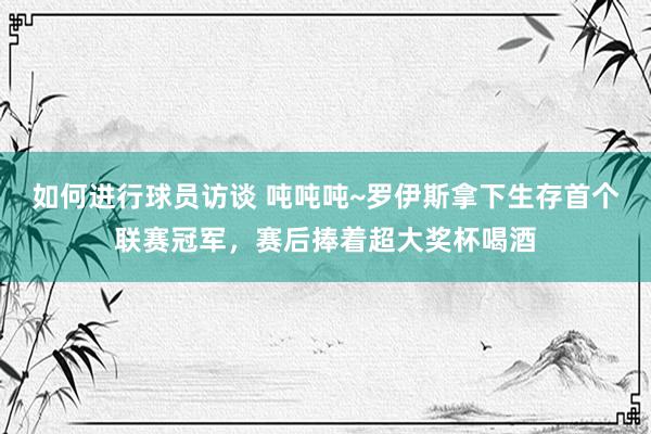 如何进行球员访谈 吨吨吨~罗伊斯拿下生存首个联赛冠军，赛后捧着超大奖杯喝酒